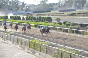 ΙΠΠΟΔΡΟΜΟΣ ΚΥΠΡΟΣ / IPPODROMOS KYPROS