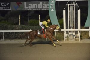 ΜΑΞΙΜΣ - 25/06/2025 - ΙΠΠΟΔΡΟΜΟΣ ΚΥΠΡΟΣ / IPPODROMOS KYPROS