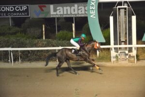 ΒΑΜΟΣ ΑΡΙΜΠΑ  - 27/06/2025 - ΙΠΠΟΔΡΟΜΟΣ ΚΥΠΡΟΣ / IPPODROMOS KYPROS