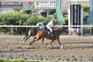 ΙΠΠΟΔΡΟΜΟΣ ΚΥΠΡΟΣ / IPPODROMOS KYPROS MARINA STILIANA ΜΑΡΙΝΑ ΣΤΥΛΙΑΝΑ - 01/06/2025