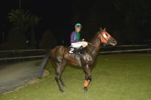 ΒΑΜΟΣ ΑΡΙΜΠΑ  - 27/06/2025 - ΙΠΠΟΔΡΟΜΟΣ ΚΥΠΡΟΣ / IPPODROMOS KYPROS