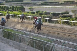 ΙΠΠΟΔΡΟΜΟΣ ΚΥΠΡΟΣ / IPPODROMOS KYPROS MIKROS MARIOS ΜΙΚΡΟΣ ΜΑΡΙΟΣ - 01/06/2025