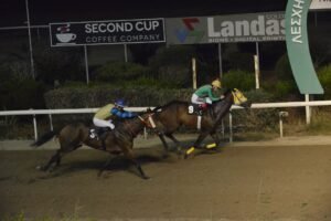 ΟΡΚΟΣ ΤΙΜΗΣ - 25/06/2025 - ΙΠΠΟΔΡΟΜΟΣ ΚΥΠΡΟΣ / IPPODROMOS KYPROS