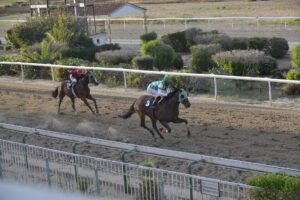 ΙΠΠΟΔΡΟΜΟΣ ΚΥΠΡΟΣ / IPPODROMOS KYPROS MIKROS MARIOS ΜΙΚΡΟΣ ΜΑΡΙΟΣ - 01/06/2025