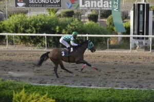 ΙΠΠΟΔΡΟΜΟΣ ΚΥΠΡΟΣ / IPPODROMOS KYPROS MIKROS MARIOS ΜΙΚΡΟΣ ΜΑΡΙΟΣ - 01/06/2025