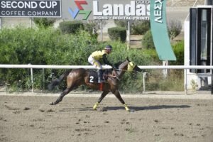 ΙΠΠΟΔΡΟΜΟΣ ΚΥΠΡΟΣ / IPPODROMOS KYPROS ΚΟΡΣΑΡΟ ΠΑΘ- 18/06/2025