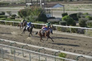 ΙΠΠΟΔΡΟΜΟΣ ΚΥΠΡΟΣ / IPPODROMOS KYPROS - ΕΠΑΝΑΣΤΑΣΗ- 18/06/2025