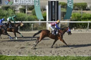 ΙΠΠΟΔΡΟΜΟΣ ΚΥΠΡΟΣ / IPPODROMOS KYPROS - ΕΠΑΝΑΣΤΑΣΗ- 18/06/2025