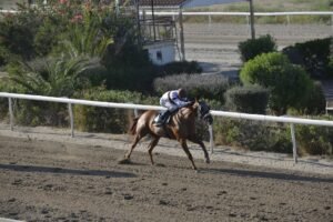 ΕΡΟΡΑ - 20/06/2025 ΙΠΠΟΔΡΟΜΟΣ ΚΥΠΡΟΣ / IPPODROMOS KYPROS