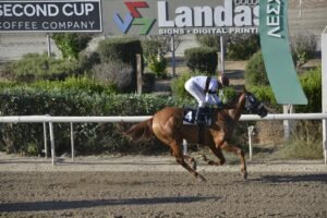 ΕΡΟΡΑ - 20/06/2025 ΙΠΠΟΔΡΟΜΟΣ ΚΥΠΡΟΣ / IPPODROMOS KYPROS