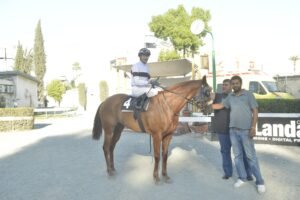 ΕΡΟΡΑ - 20/06/2025 ΙΠΠΟΔΡΟΜΟΣ ΚΥΠΡΟΣ / IPPODROMOS KYPROS