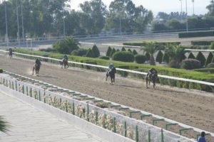 ΙΠΠΟΔΡΟΜΟΣ ΚΥΠΡΟΣ / IPPODROMOS KYPROS