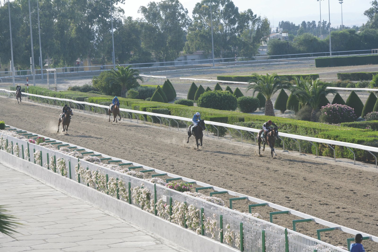 Η τρίτη επική μάχη Φάχερς Μπεστ-Κην 1 ΙΠΠΟΔΡΟΜΟΣ ΚΥΠΡΟΣ / IPPODROMOS KYPROS