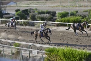ΙΠΠΟΔΡΟΜΟΣ ΚΥΠΡΟΣ / IPPODROMOS KYPROS - ΛΟΥΣΙ- 18/06/2025