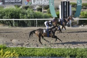 ΙΠΠΟΔΡΟΜΟΣ ΚΥΠΡΟΣ / IPPODROMOS KYPROS - ΛΟΥΣΙ- 18/06/2025