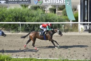 ΙΠΠΟΔΡΟΜΟΣ ΚΥΠΡΟΣ / IPPODROMOS KYPROS - ΜΑΡΙΑΜ- 18/06/2025