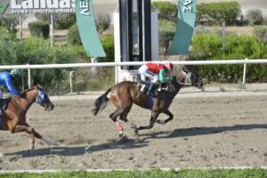 ΙΠΠΟΔΡΟΜΟΣ ΚΥΠΡΟΣ / IPPODROMOS KYPROS - ΜΑΡΙΑΜ- 18/06/2025