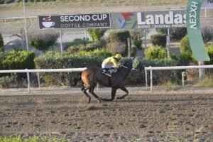 ΝΑΒΑΝ - 20/06/2025 ΙΠΠΟΔΡΟΜΟΣ ΚΥΠΡΟΣ / IPPODROMOS KYPROS