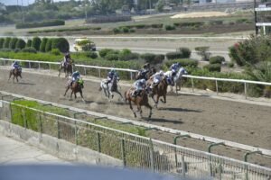 ΣΑΒΑΝ ΜΥΡΙΑ - 20/06/2025 ΙΠΠΟΔΡΟΜΟΣ ΚΥΠΡΟΣ / IPPODROMOS KYPROS