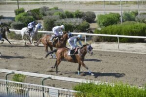 ΣΑΒΑΝ ΜΥΡΙΑ - 20/06/2025 ΙΠΠΟΔΡΟΜΟΣ ΚΥΠΡΟΣ / IPPODROMOS KYPROS