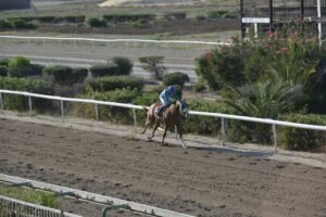 ΣΤΑΡΛΙΝΓΚ - 20/06/2025 ΙΠΠΟΔΡΟΜΟΣ ΚΥΠΡΟΣ / IPPODROMOS KYPROS