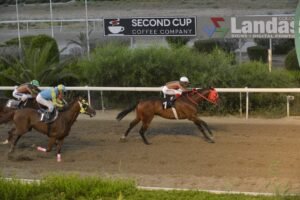 ΙΠΠΟΔΡΟΜΟΣ ΚΥΠΡΟΣ / IPPODROMOS KYPROS - ΤΟΥΡΟΣ - 18/06/2025