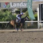 ΙΠΠΟΔΡΟΜΟΣ ΚΥΠΡΟΣ / IPPODROMOS KYPROS - ΒΕΝΣΕΡΕΜΟΣ- 18/06/2025