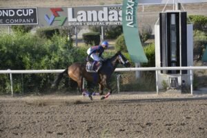 ΙΠΠΟΔΡΟΜΟΣ ΚΥΠΡΟΣ / IPPODROMOS KYPROS - ΒΕΝΣΕΡΕΜΟΣ- 18/06/2025