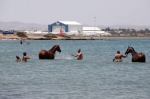 ΙΠΠΟΔΡΟΜΟΣ ΚΥΠΡΟΣ / IPPODROMOS KYPROS