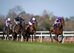 O Delacroix στο P.W. McGrath Memorial Ballysax Stakes.