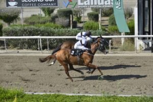 ΕΣΣΑΠΕ - 20/06/2025 ΙΠΠΟΔΡΟΜΟΣ ΚΥΠΡΟΣ / IPPODROMOS KYPROS