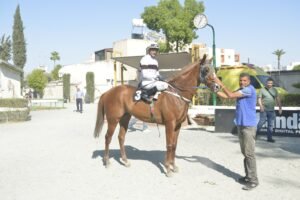 ΕΣΣΑΠΕ - 20/06/2025 ΙΠΠΟΔΡΟΜΟΣ ΚΥΠΡΟΣ / IPPODROMOS KYPROS