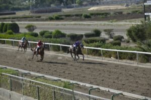 ΙΠΠΟΔΡΟΜΟΣ ΚΥΠΡΟΣ / IPPODROMOS KYPROS MARK ΜΑΡΚ - 02/07/2025