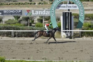 ΙΠΠΟΔΡΟΜΟΣ ΚΥΠΡΟΣ / IPPODROMOS KYPROS SANTI GEORGIANA ΣΑΝΤΗ ΤΖΙΟΡΤΖΙΑΝΑ - 04/07/2025