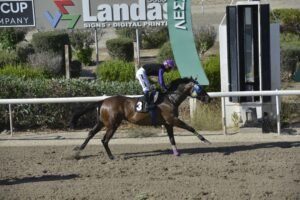 ΙΠΠΟΔΡΟΜΟΣ ΚΥΠΡΟΣ / IPPODROMOS KYPROS MARK ΜΑΡΚ - 02/07/2025