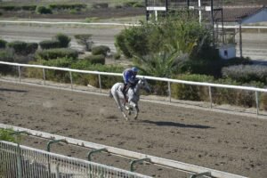 ΙΠΠΟΔΡΟΜΟΣ ΚΥΠΡΟΣ / IPPODROMOS KYPROS SAVAN STAVROS ΣΑΒΑΝ ΣΤΑΥΡΟΣ - 04/07/2025