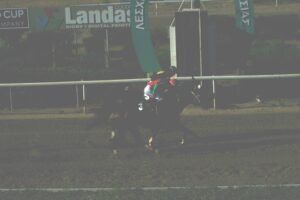 ΙΠΠΟΔΡΟΜΟΣ ΚΥΠΡΟΣ / IPPODROMOS KYPROS SWEET MILIONAIRE ΣΟΥΗΤ ΜΙΛΙΟΝΕΡ - 02/07/2025