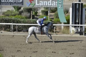 ΙΠΠΟΔΡΟΜΟΣ ΚΥΠΡΟΣ / IPPODROMOS KYPROS SAVAN STAVROS ΣΑΒΑΝ ΣΤΑΥΡΟΣ - 04/07/2025