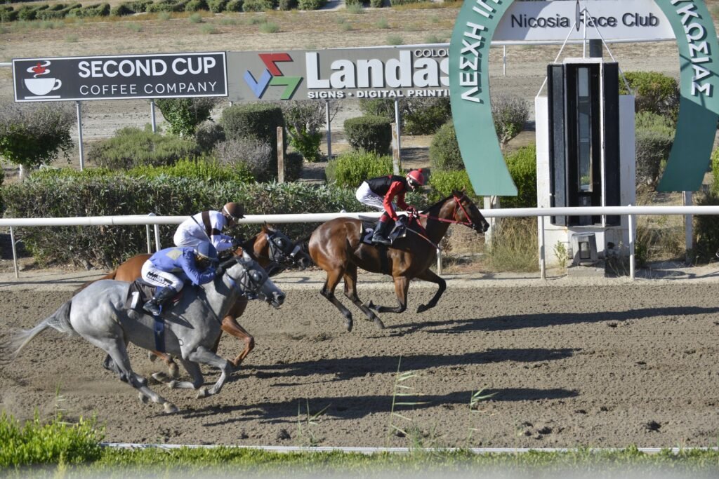 ΙΠΠΟΔΡΟΜΟΣ ΚΥΠΡΟΣ / IPPODROMOS KYPROS MARKONI ΜΑΡΚΟΝΙ - 04/07/2025