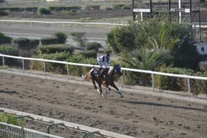 ΙΠΠΟΔΡΟΜΟΣ ΚΥΠΡΟΣ / IPPODROMOS KYPROS SIR VRAKAS ΣΕΡ ΒΡΑΚΑΣ - 02/07/2025