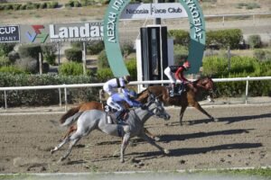 ΙΠΠΟΔΡΟΜΟΣ ΚΥΠΡΟΣ / IPPODROMOS KYPROS MARKONI ΜΑΡΚΟΝΙ - 04/07/2025