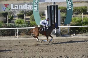 ΙΠΠΟΔΡΟΜΟΣ ΚΥΠΡΟΣ / IPPODROMOS KYPROS SIR VRAKAS ΣΕΡ ΒΡΑΚΑΣ - 02/07/2025