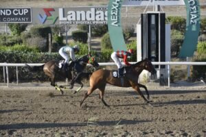 ΙΠΠΟΔΡΟΜΟΣ ΚΥΠΡΟΣ / IPPODROMOS KYPROS CARAFILIA ΚΑΡΑΦΙΛΙΑ - 02/07/2025