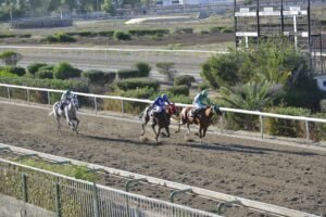 ΙΠΠΟΔΡΟΜΟΣ ΚΥΠΡΟΣ / IPPODROMOS KYPROS PRINCESS DESPINA ΠΡΙΝΣΕΣ ΔΕΣΠΟΙΝΑ - 04/07/2025