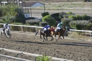 ΙΠΠΟΔΡΟΜΟΣ ΚΥΠΡΟΣ / IPPODROMOS KYPROS PRINCESS DESPINA ΠΡΙΝΣΕΣ ΔΕΣΠΟΙΝΑ - 04/07/2025