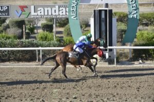 ΙΠΠΟΔΡΟΜΟΣ ΚΥΠΡΟΣ / IPPODROMOS KYPROS PRINCESS DESPINA ΠΡΙΝΣΕΣ ΔΕΣΠΟΙΝΑ - 04/07/2025