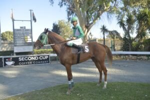 ΙΠΠΟΔΡΟΜΟΣ ΚΥΠΡΟΣ / IPPODROMOS KYPROS PRINCESS DESPINA ΠΡΙΝΣΕΣ ΔΕΣΠΟΙΝΑ - 04/07/2025