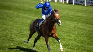 O Ombudsman στη νίκη του στο Prince Of Wales’s Stakes.