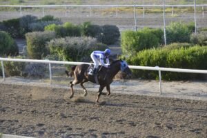 ΙΠΠΟΔΡΟΜΟΣ ΚΥΠΡΟΣ / IPPODROMOS KYPROS MIMNERMOS ΜΙΜΝΕΡΜΟΣ - 02/07/2025