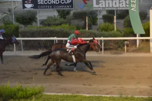 ΙΠΠΟΔΡΟΜΟΣ ΚΥΠΡΟΣ / IPPODROMOS KYPROS SANTA ANNITA ΣΑΝΤΑ ΑΝΝΙΤΑ - 25/07/2025